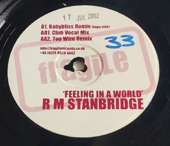 R M Stanbridge - Feeling In A World | Fragile Records (FRAGT-008)