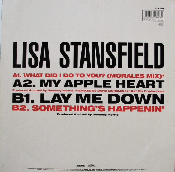 Lisa Stansfield - What Did I Do To You? | Arista (613 168) - 3