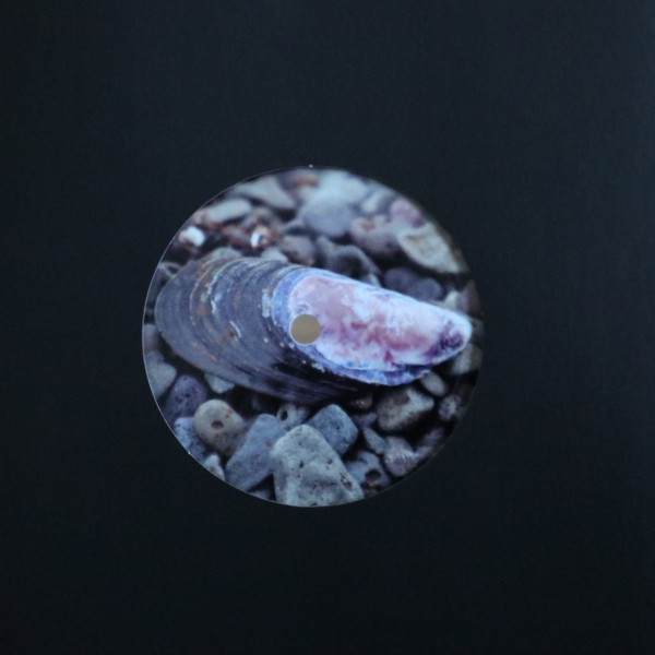 Drøn - MOA060 | Móatún 7 (MOA060)