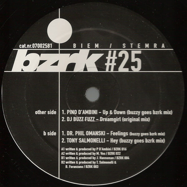 Various - The Anniversary Album | BZRK Records (BZRK 025) - 3