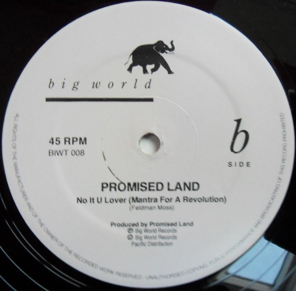 Promised Land - Something In The Air | Big World Records (BIWT 008) - 3