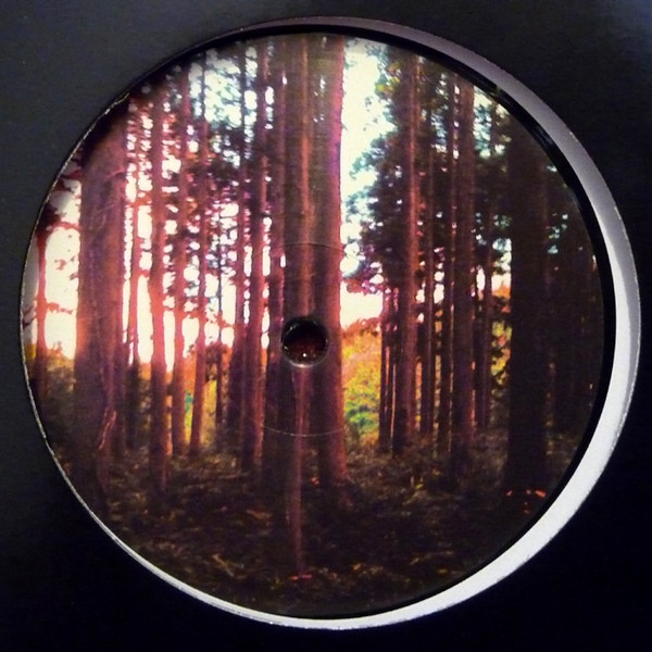 Morphosis - The TEPCO Report | Morphine Records (doser011)