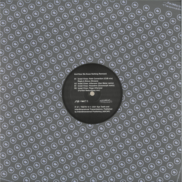 Israel Vines - And Now We Know Nothing  Remixed. | Interdimensional Transmissions (IT 47) - 3