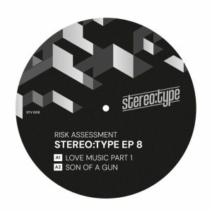Risk Assessment - Stereo:type EP 8 | Stereo:type (STV 008)