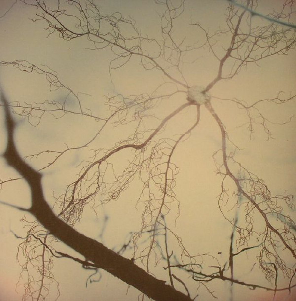 Doubt - Web of Mind | Disposable Commodities (DISPCO005) - 2