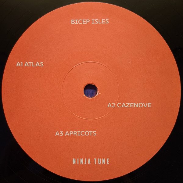 Bicep - Isles | Ninja Tune (ZEN261) - 4 Bicep - Isles | Ninja Tune (ZEN261) - 4