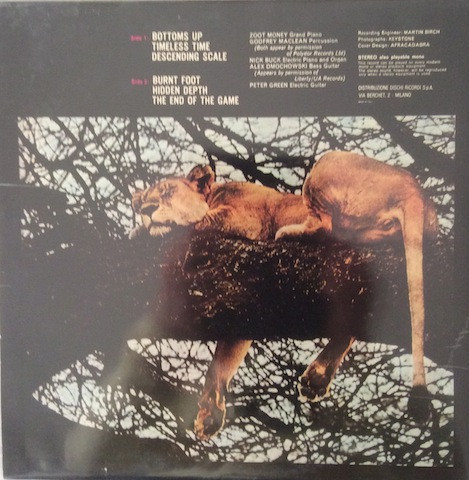 Peter Green - The End Of The Game | Reprise Records (RS 6436) - 2