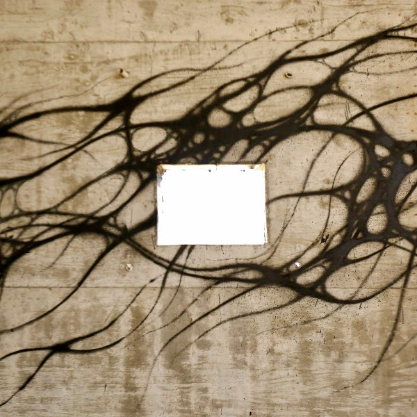 Beau Mahadev - Subterra | INDEX:Records (INDEX020)