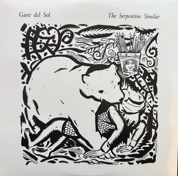 Gastr del Sol - The Serpentine Similar | Drag City (DC106)
