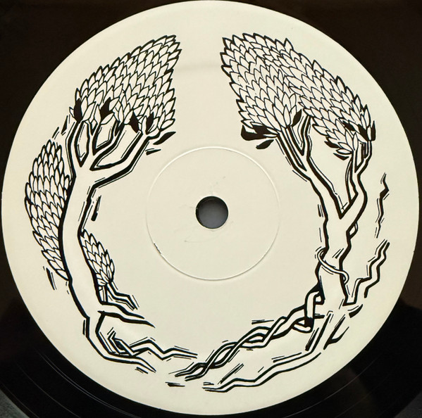 Gastr del Sol - The Serpentine Similar | Drag City (DC106) - 3