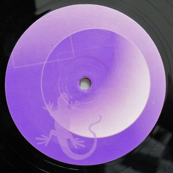 Kinky Roland - Pollution Volume 5 | Eidechse Records (EIDEX 005T)