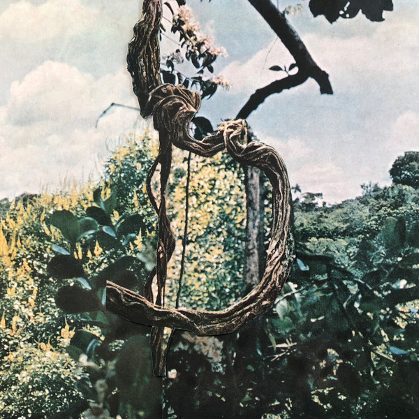 Celer + Forest Management - Landmarks | Constellation Tatsu (PURR 0089)