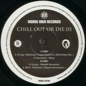 Various - Chill Out Or Die III | Rising High Records (RSN LP25) - 4