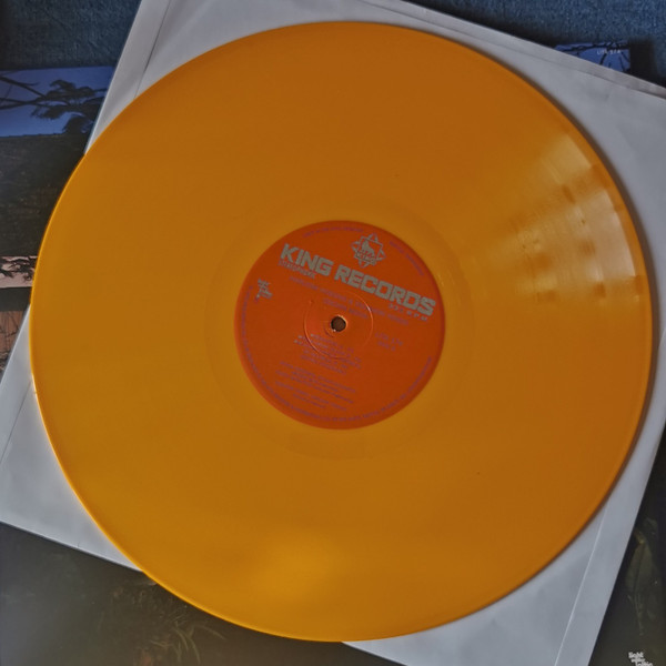 Haruomi Hosono & Tadanori Yokoo - Cochin Moon | Light In The Attic (LITA-174-1-1) - 3