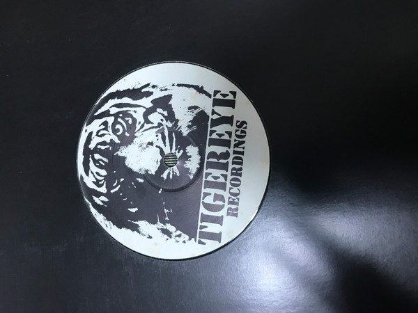 DJ Rooster & Sammy Peralta - Take Control | Tigereye Recordings (TER001)