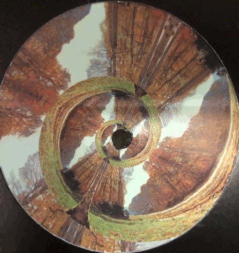 Kaisei - Relic | Beyond The Bridge (BTB002) - 4