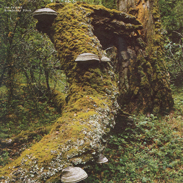 Jan Jelinek - Kosmischer Pitch | Faitiche (faitback06)