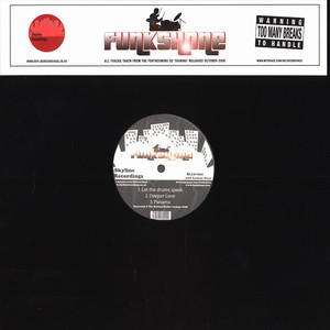 Funkshone - Shining EP | Skyline Recordings (SL12V001)