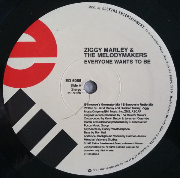 Ziggy Marley And The Melody Makers - Everyone Wants To Be | Elektra (ED 6058) - 2