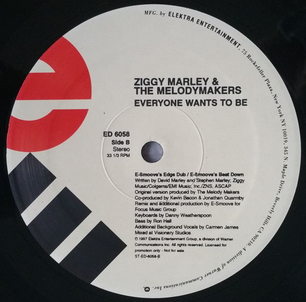Ziggy Marley And The Melody Makers - Everyone Wants To Be | Elektra (ED 6058) - 3