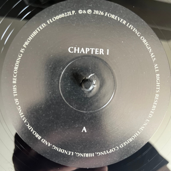 Sault - Chapter 1 | Forever Living Originals (FLO00022LP) - 3
