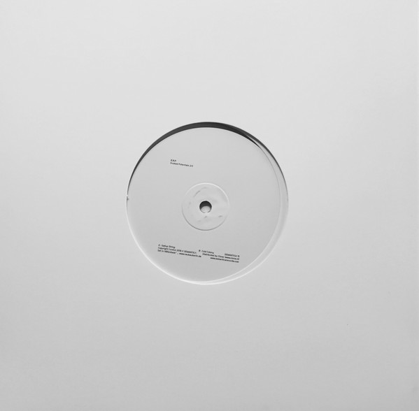 E.R.P. - Evoked Potentials 2/3 | Semantica Records (SEMANTICA 15) - 4