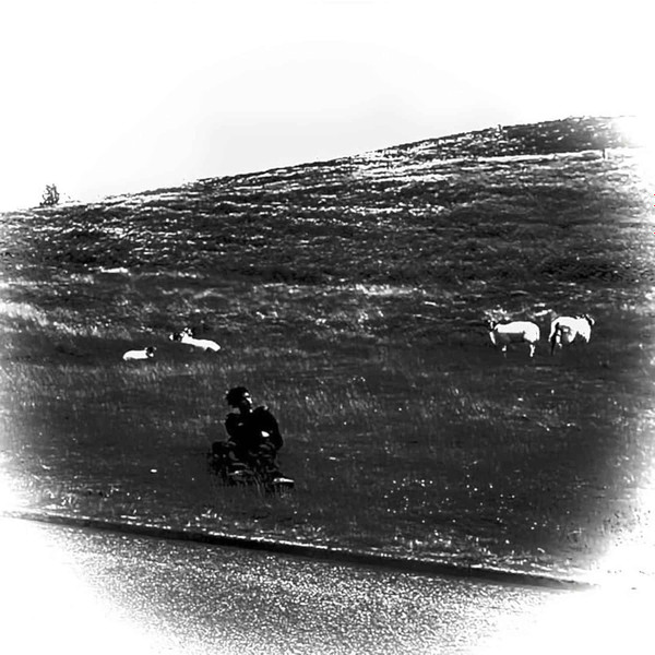 Pretty V - Destiny of Illusion | life is beautiful records (lib013)