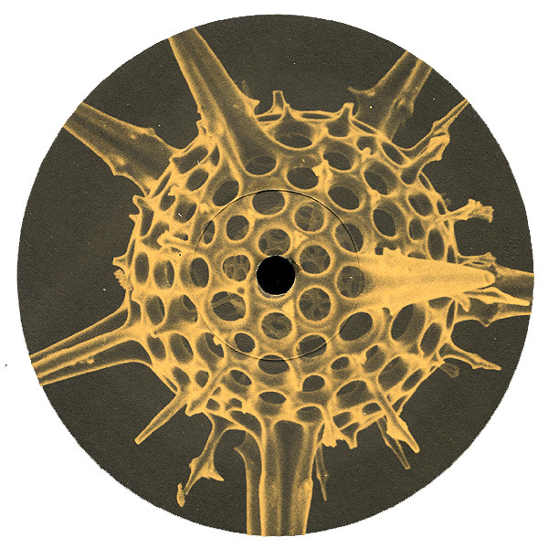 Evolution - Cuzco / Beach-Sound-Water-Palms-Stars-Space | Gaia Tonträger (GT 006) - 2 Evolution - Cuzco / Beach-Sound-Water-Palms-Stars-Space | Gaia Tonträger (GT 006) - 2