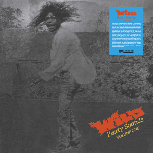 Various - Wild Paarty Sounds | Lantern Rec. (LANR008)