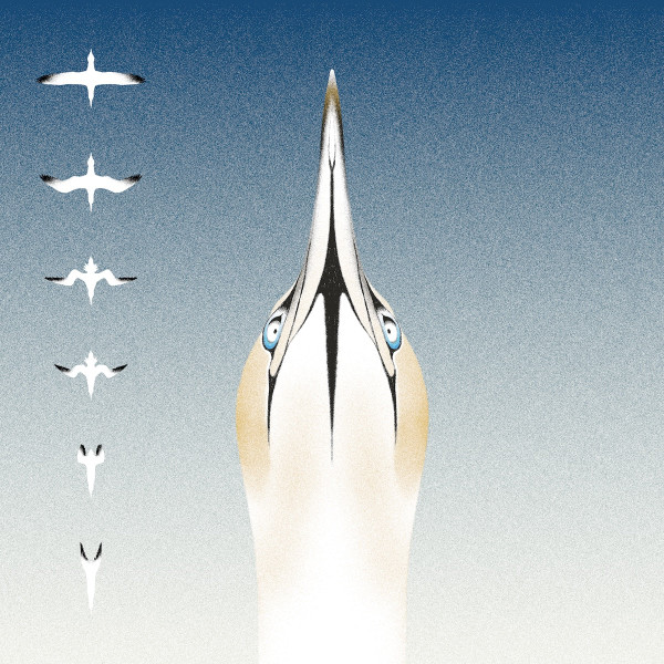 Christophe Panzani & 20Syl - Sula Bassana | Onandon Records (OAO094)