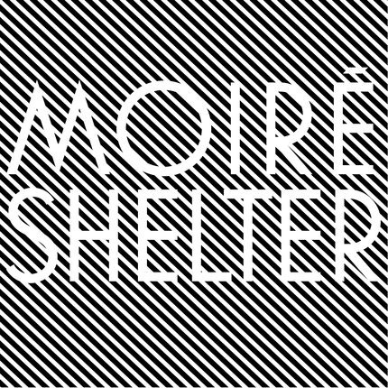 Moiré - Shelter | Werk Discs (WDNT011)