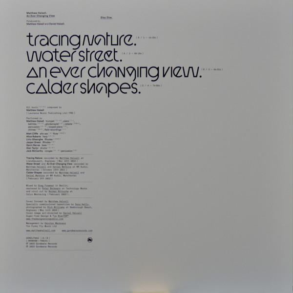 Matthew Halsall - An Ever Changing View | Gondwana Records (GONDLP62) - 4