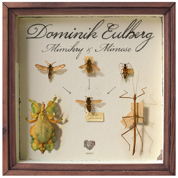 Dominik Eulberg - Mimikry & Mimese | Herzblut Recordings (Herzblut 53-6)