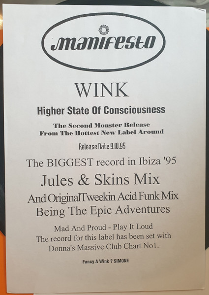 Josh Wink - Higher State Of Consciousness | Manifesto (WINK 1) - 4