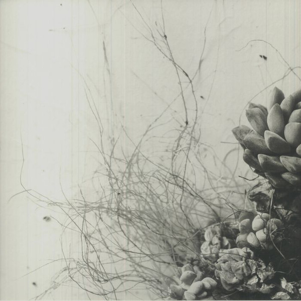 Acaera - Unfold | Portal Records (PRTLL001)