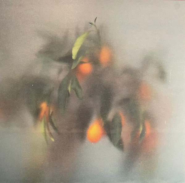 µ-Ziq & Mrs Jynx - Secret Garden | Planet Mu (ZIQ438) µ-Ziq & Mrs Jynx - Secret Garden | Planet Mu (ZIQ438)