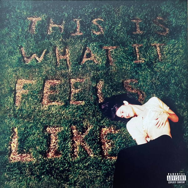 Gracie Abrams - This Is What It Feels Like | Interscope Records (00602445236725) - main