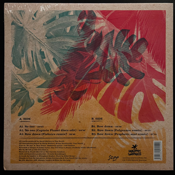 David Walters - Bow Down | Heavenly Sweetness (HS232VL) - 2
