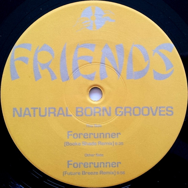 Natural Born Grooves - Forerunner (Remixes) | Friends (FRIEND 09) - main