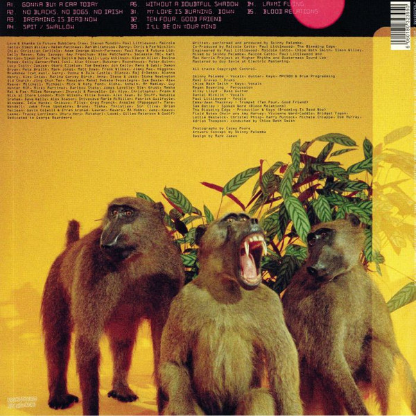 Skinny Pelembe - Dreaming Is Dead Now | Brownswood Recordings (BWOOD0193LP) - 2