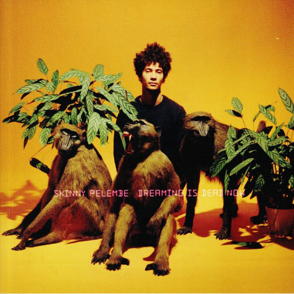 Skinny Pelembe - Dreaming Is Dead Now | Brownswood Recordings (BWOOD0193LP)