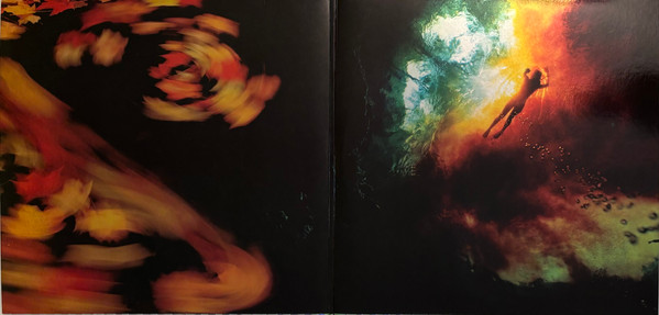 Animal Collective - Merriweather Post Pavilion | Domino (WIGLLP216X) - 2 Animal Collective - Merriweather Post Pavilion | Domino (WIGLLP216X) - 2