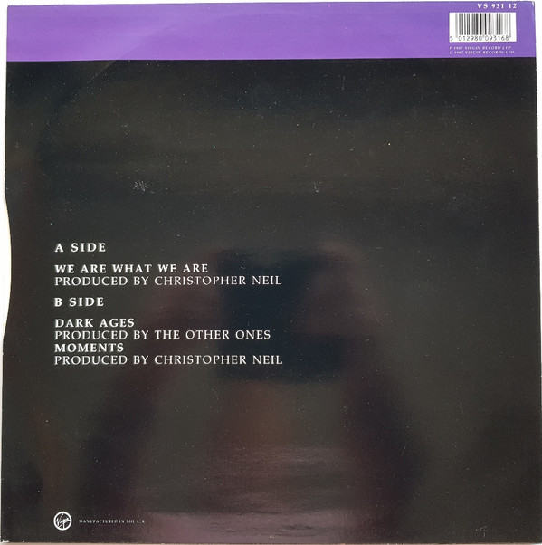 The Other Ones - We Are What We Are | Virgin (VS 931 12)