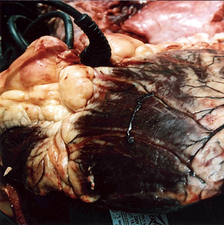 Revolutions Per Minute - Revolutions Per Minute | Résistance Des Matériaux (RDM01) - 2