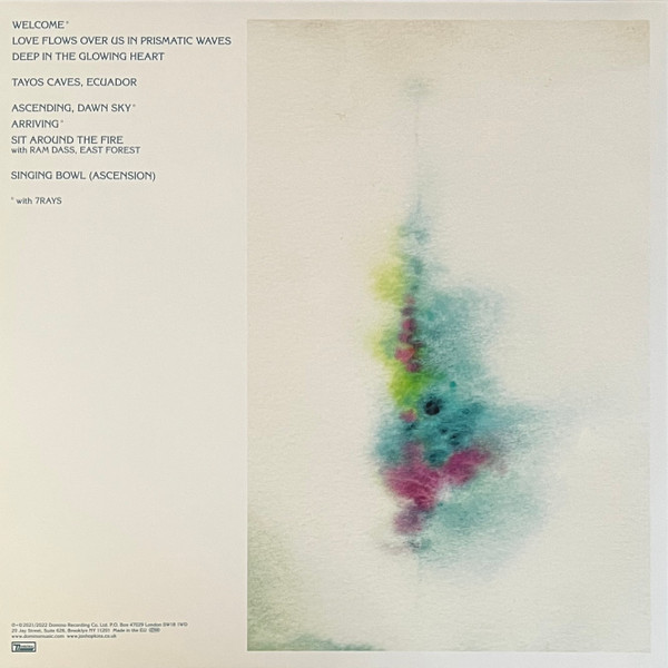 Jon Hopkins - Music For Psychedelic Therapy | Domino (WIGLP458) - 3