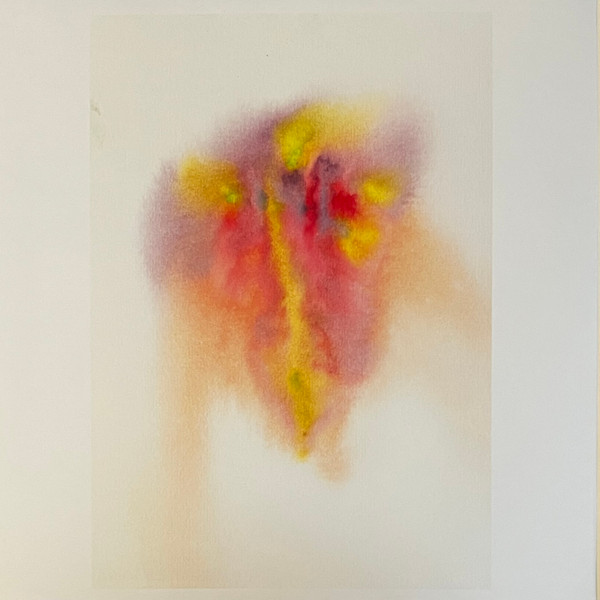 Jon Hopkins - Music For Psychedelic Therapy | Domino (WIGLP458) - 2