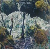 Eternal Tapestry - The Invisible Landscape | Not Not Fun Records (NNF165) Eternal Tapestry - The Invisible Landscape | Not Not Fun Records (NNF165)