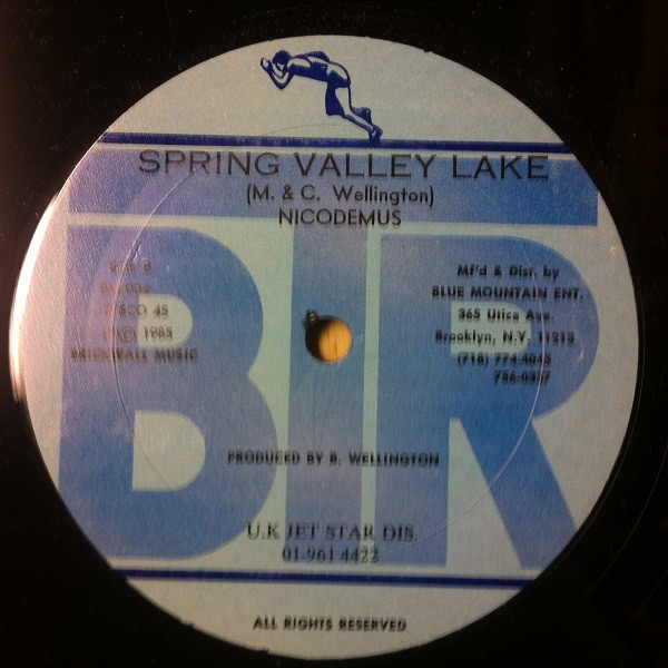 Ken Boothe / Nicodemus - I Will / Spring Valley Lake | BTR (BM 004) - main