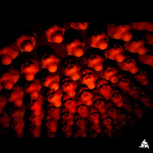 Various - Untitled | Epiteth Rec. (ETH006)