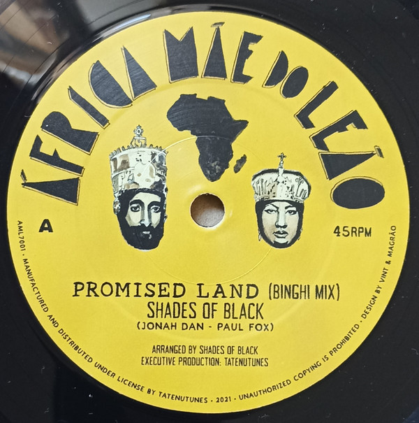 Shades Of Black - Promised Land (Binghi Mix) | África Mãe Do Leão (AML7001)